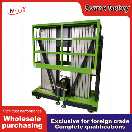 İç Mekan Yenileme Projeleri için Çift Direkli Alüminyum Asansör