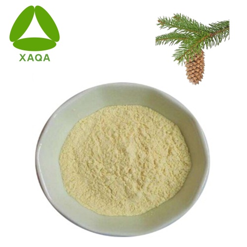 Antioxidative Larch Extract Powder Taxifolin 98%