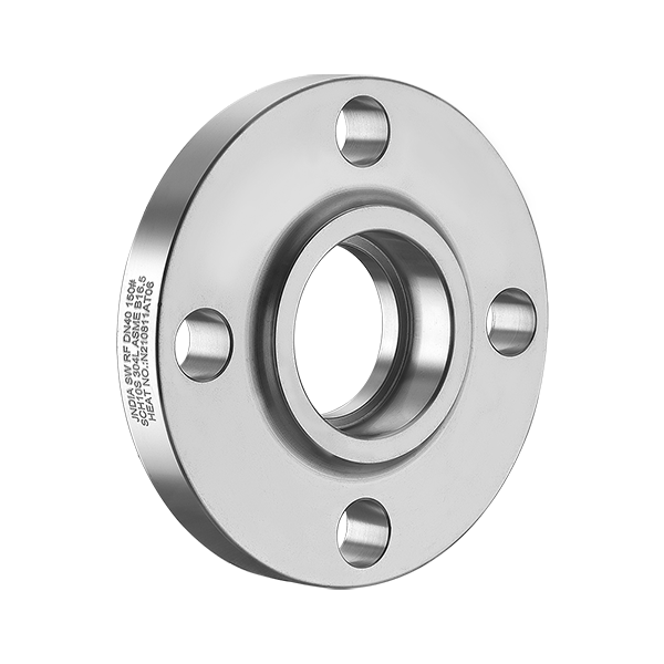 Stainless Steel Forged RF Blind Flange