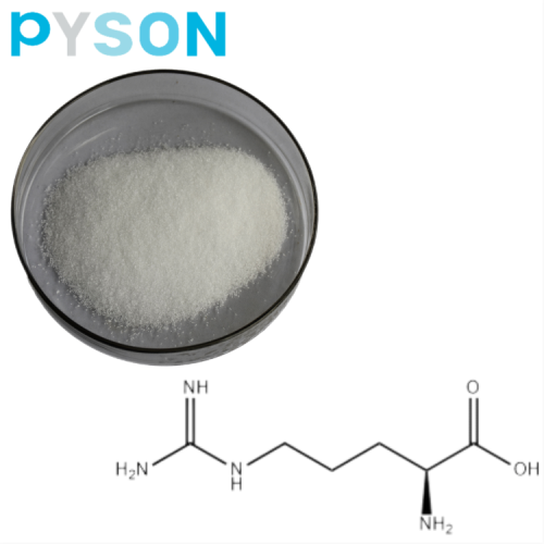 L Arginine en poudre Norme USP