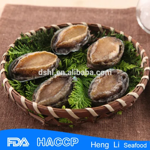 Fresh Fresh Frozen Abalone Paua Whole, High Quality Fresh Fresh Frozen