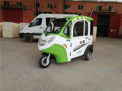 is electric car the future