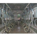 Customized parallel goat milking parlor