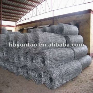 bird cage wire panels