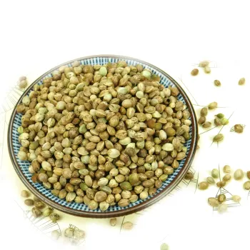High Quality Organical Hemp Seed With Different Size