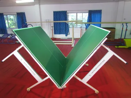 2016 wholesale sports table tennis tables