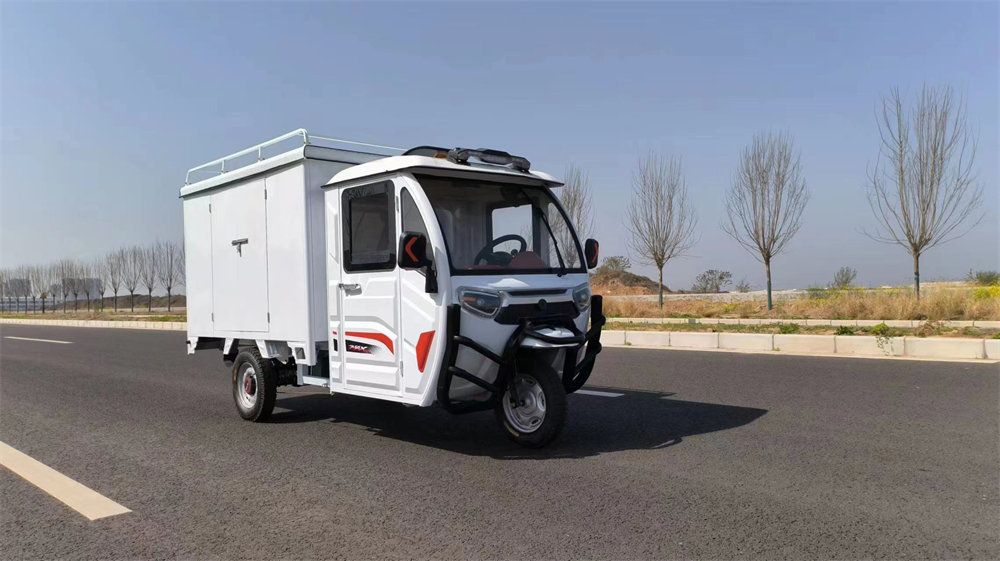 Fully Enclosed Electric Van