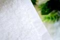 hogar y del hotel del algodón de 100% usan taladro raso blanco toalla de baño