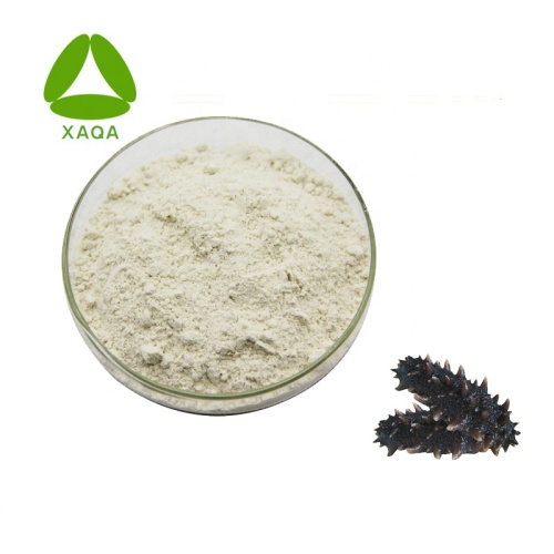 Natural Freeze Dried Sea Cucumber Extract Powder