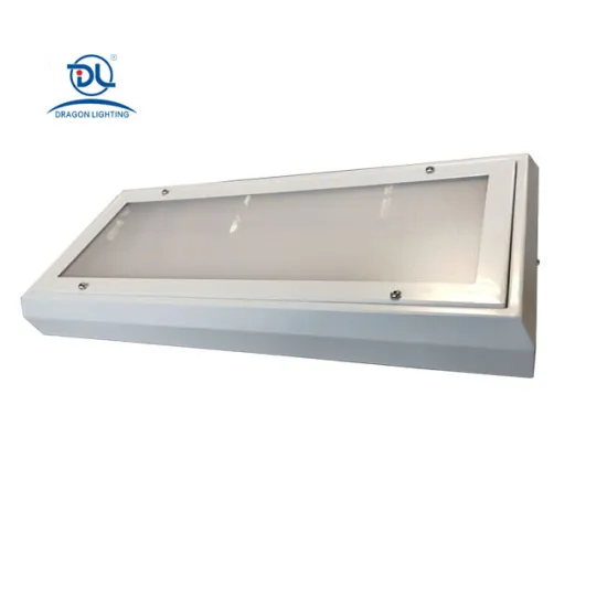 24W Prison Surface-Mounted LED Panel Light with Night Light