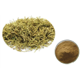 Honeysuckle Extract Honeysuckle Powder