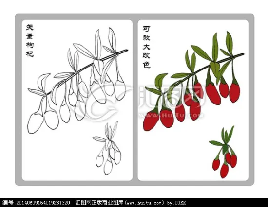 Size 280 conventional dried goji wolfberries