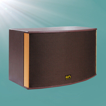 Nice Outlook 200W Coffee Color Karaoke Speaker