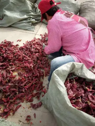 Chilli Powder Sweet Paprika Powder Good Quality