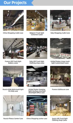 RONSE Gallery Art Projector LED Ceiling Track Lighting