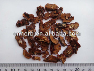 Dried Jujube Fruit pieces