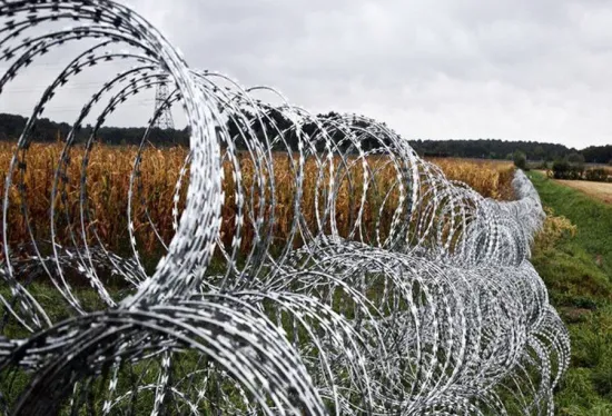 razor concertina wire fence