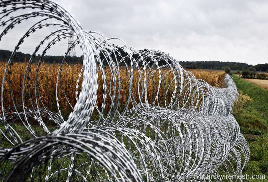 Razor Concertina wire clôture