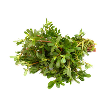 Machixian Extract: Revitalize Skin with Powerful Plant Extract
