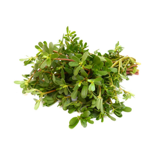 Machixian Extract: Revitalize Skin with Powerful Plant Extract