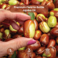 100% Pure Eco-friendly Jojoba Oil for Cosmetics Beauty Skin