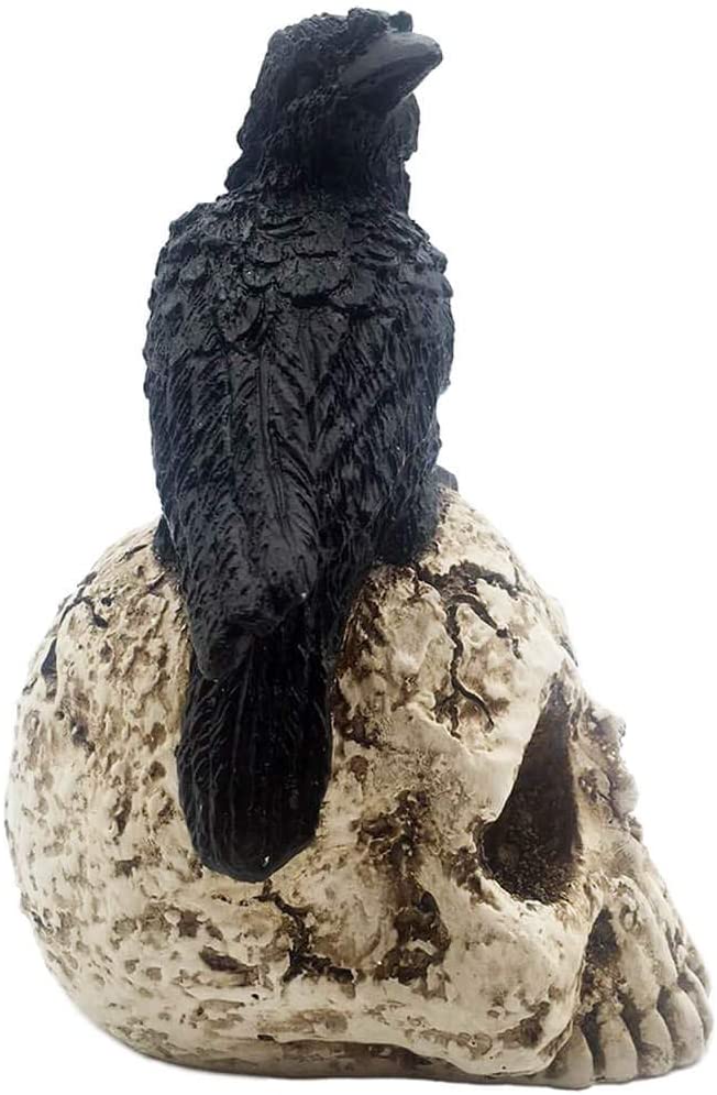 Raven sur Skull Halloween Home Decor