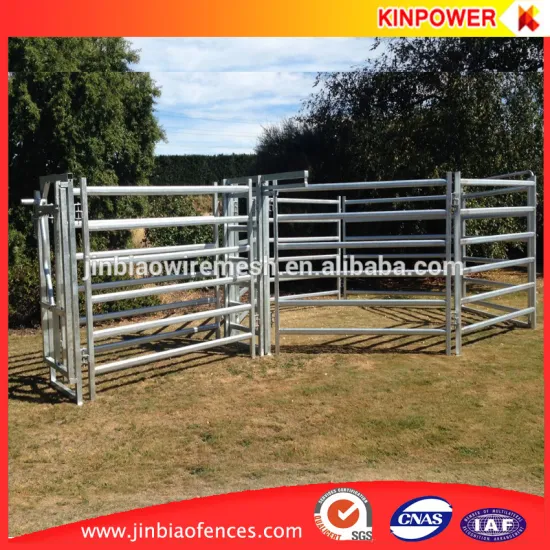 Hot dip galvanized Cattle Yard Design