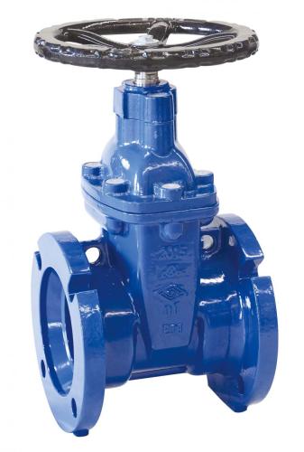 American Mechanical Joint Resilinet NRS Gate Valve