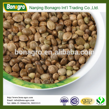 Chinese hemp seeds for bird feed