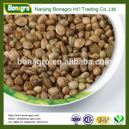 organic hemp seed