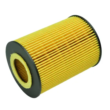 OEM Automotive Oil Filter PH5511 for BMW - 11427511161 11427506677 with Packaging