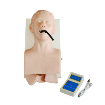 Medicinsk human trachea Intubationsmodell Sjuksköterskans träningsdummy