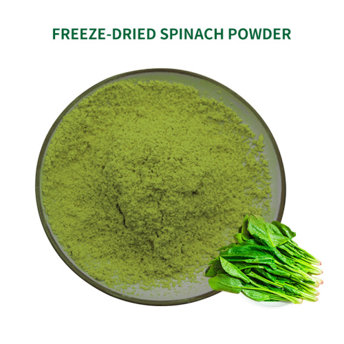 China Freeze Dried Spinach Powder Source Manufacturers Factory