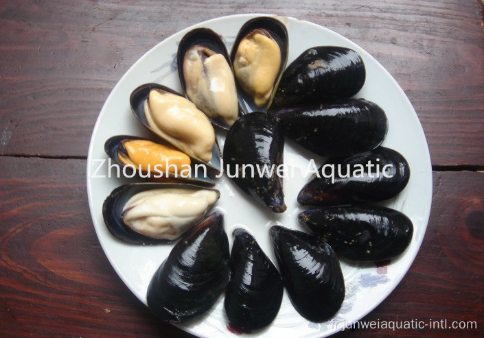 moules fraîches congelées à vendre