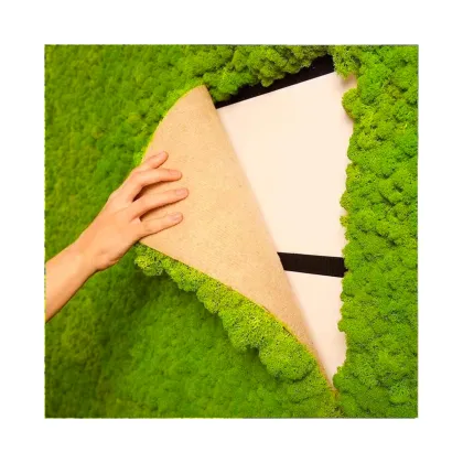 Living Green Wall: Icelandic Lichen and Reindeer Moss for Interior Decoration