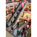 Shopping Mall Passenger Escalator