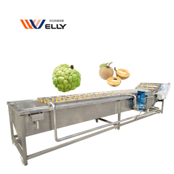 CE zugelassene industrielle Obst- und Gemüsewaschmaschine für Karotten und Süßkartoffeln