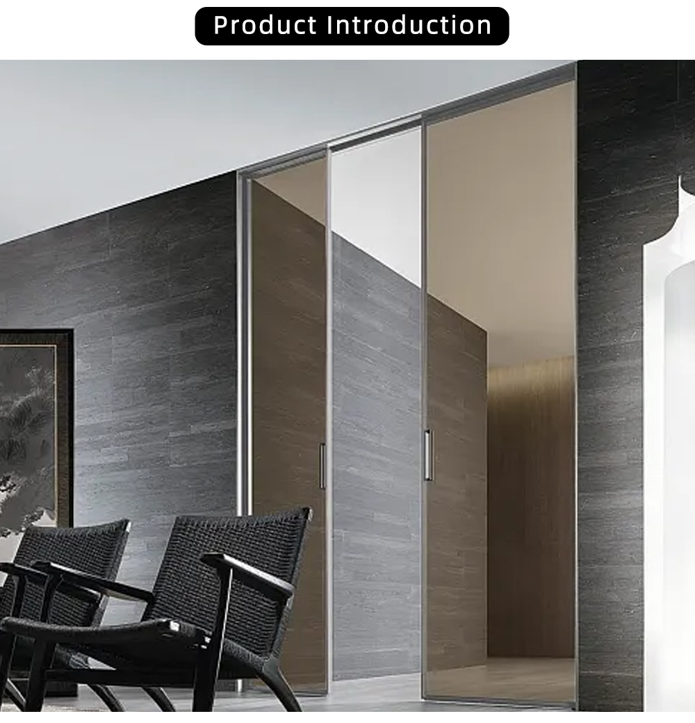 Minimalist Silver Frame Two Panel Glass Sliding Door YJ-P047