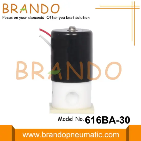 1/8'' PTFE Diaphragm Isolated Solenoid Valve 12V 24V