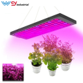 SAMSUNG lm301b lm301h fluence spydrx grow light 600w