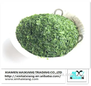 Food Grade Ulva Lactuca/aonori seaweed