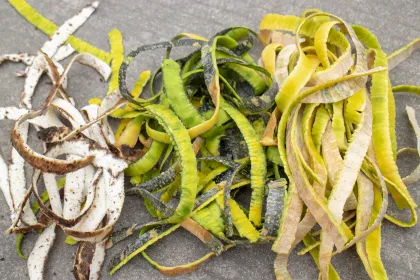 Automatic Fruit Peeler Machine for Melons, Breadfruit, and Pineapples