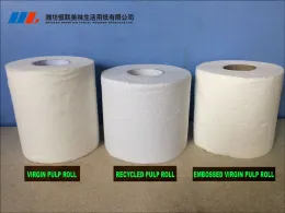 Recycled pulp toilet paper