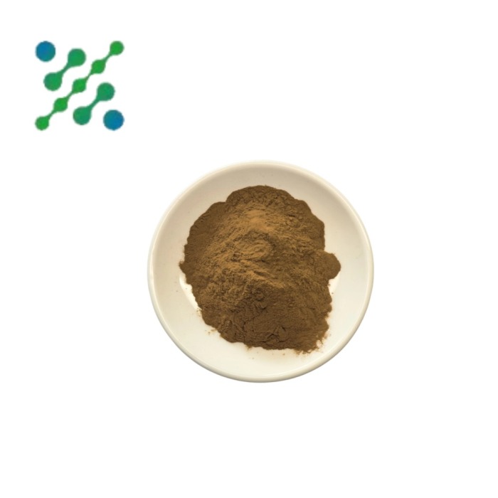 High-Quality Ceylon Cinnamon Extract for Health Benefits