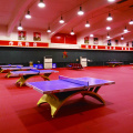 International competition use table-tennis court flooring