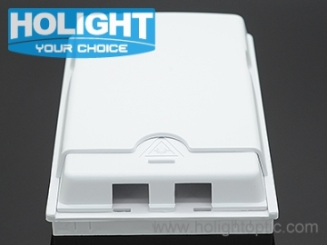FTTX Faceplate 2 Ports