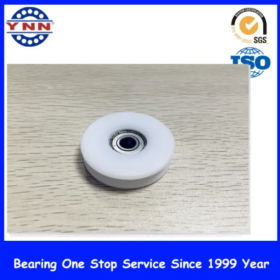 White Plastic Coated Deep Groove Ball Bearing (BSU 10X45X21mm)