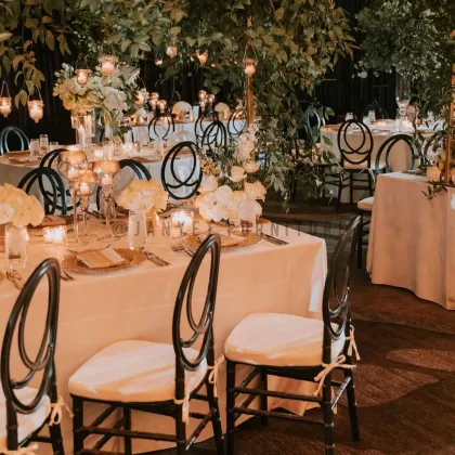 Wedding Event Rental Stackable Resin Black Phoenix Chairs Price