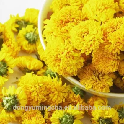 chrysanthemum Chinese teas benefits for Chinese herbal remedies