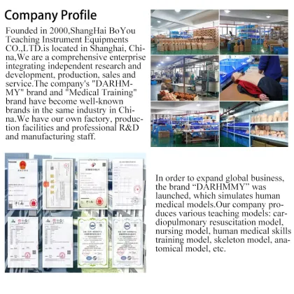 DARHMMY Transparent PVC Medical Gastric Lavage Training Model